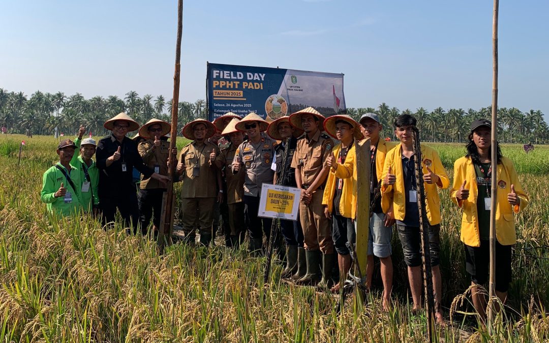 Menumbuhkan Manfaat, KKN UPB Kelompok 15 Berdampak Positif di Desa Sungai Nipah