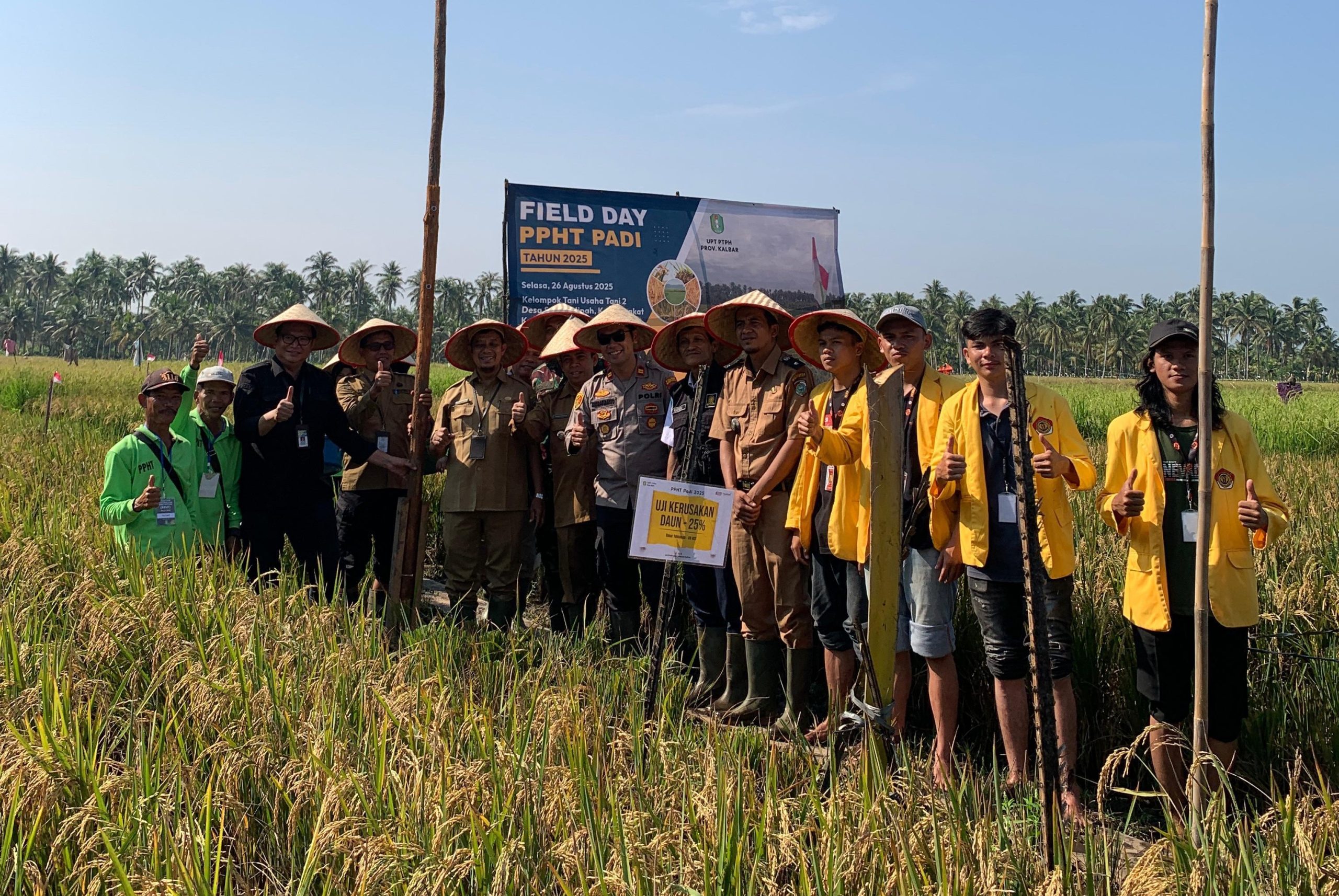 Menumbuhkan Manfaat, KKN UPB Kelompok 15 Berdampak Positif di Desa Sungai Nipah